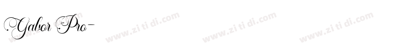 Gabor Pro字体转换